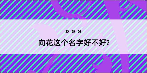 向花这个名字好不好?