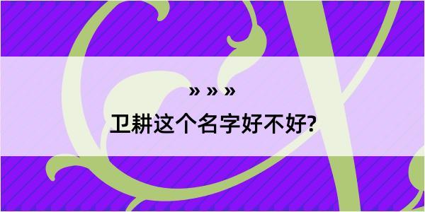 卫耕这个名字好不好?