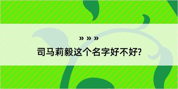 司马莉毅这个名字好不好?