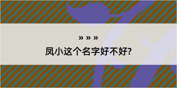 凤小这个名字好不好?