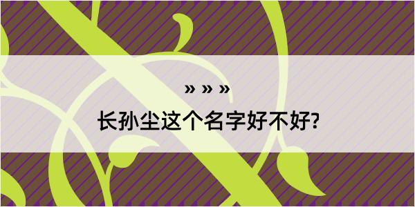 长孙尘这个名字好不好?