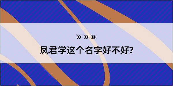 凤君学这个名字好不好?