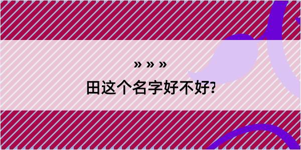 田这个名字好不好?