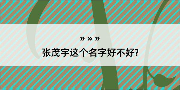 张茂宇这个名字好不好?