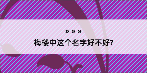 梅楼中这个名字好不好?