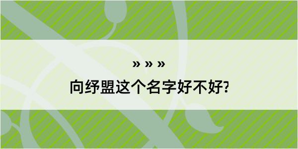 向纾盟这个名字好不好?