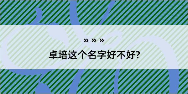 卓培这个名字好不好?