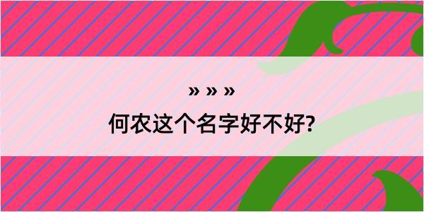 何农这个名字好不好?