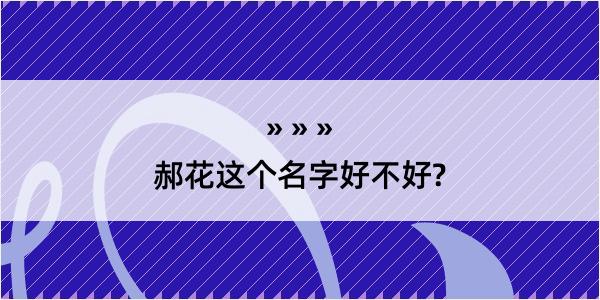 郝花这个名字好不好?