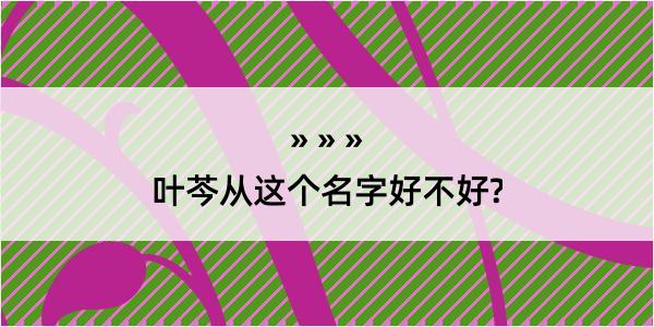 叶芩从这个名字好不好?