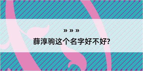 薛淳驹这个名字好不好?