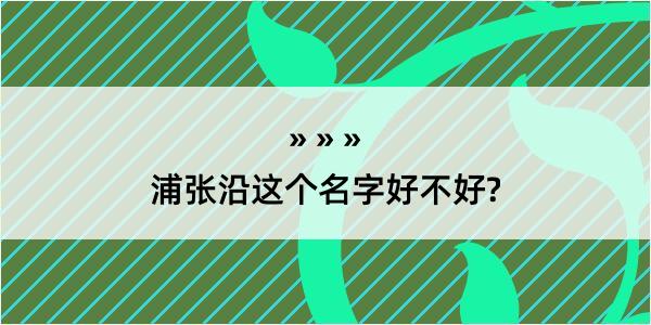 浦张沿这个名字好不好?