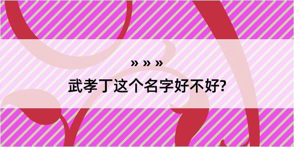 武孝丁这个名字好不好?