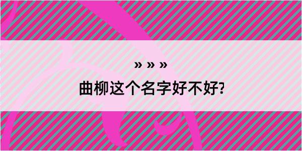 曲柳这个名字好不好?