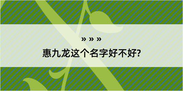 惠九龙这个名字好不好?