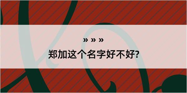 郑加这个名字好不好?