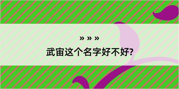 武宙这个名字好不好?