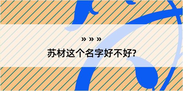 苏材这个名字好不好?