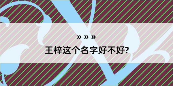 王梓这个名字好不好?