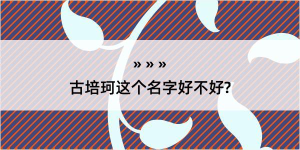 古培珂这个名字好不好?