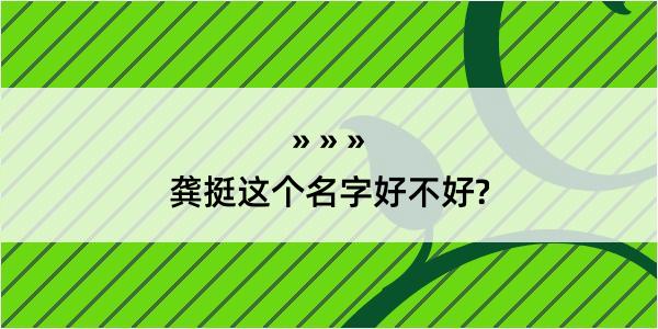 龚挺这个名字好不好?