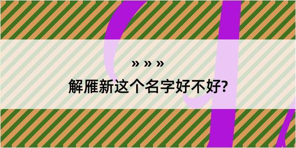 解雁新这个名字好不好?