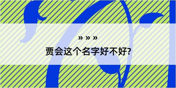 贾会这个名字好不好?