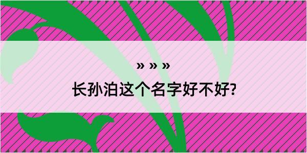 长孙泊这个名字好不好?