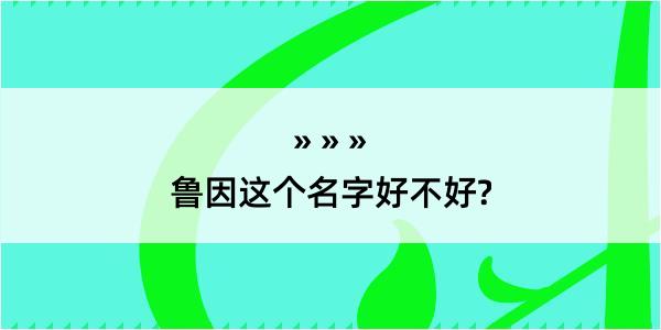 鲁因这个名字好不好?