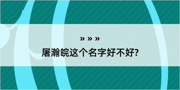 屠瀚皖这个名字好不好?