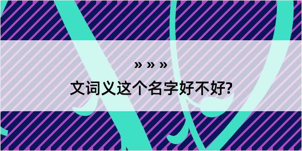 文词义这个名字好不好?