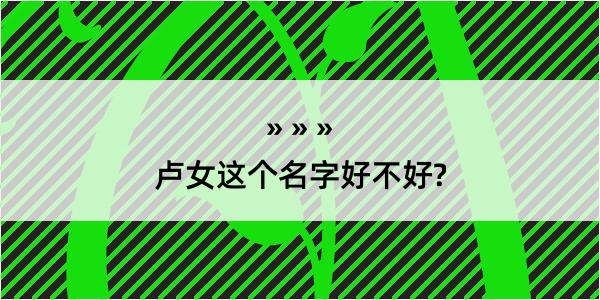 卢女这个名字好不好?