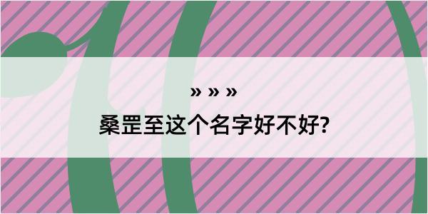 桑罡至这个名字好不好?