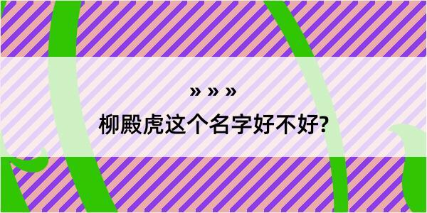 柳殿虎这个名字好不好?