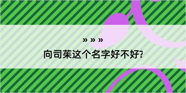 向司茱这个名字好不好?