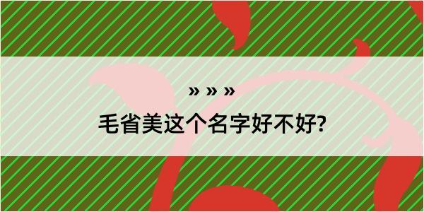 毛省美这个名字好不好?