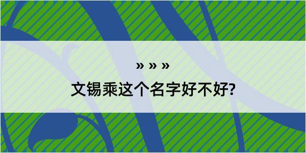 文锡乘这个名字好不好?