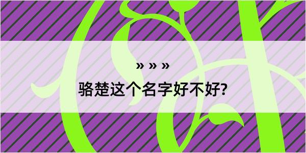 骆楚这个名字好不好?