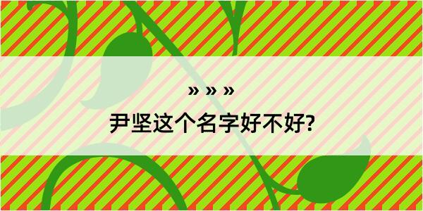 尹坚这个名字好不好?