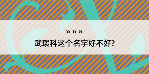 武瑷科这个名字好不好?