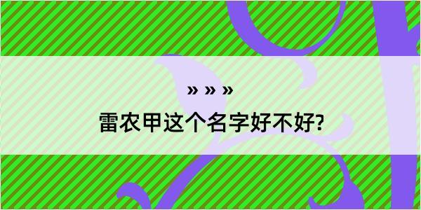 雷农甲这个名字好不好?