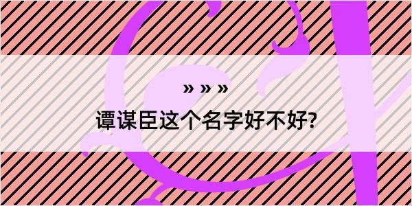 谭谋臣这个名字好不好?