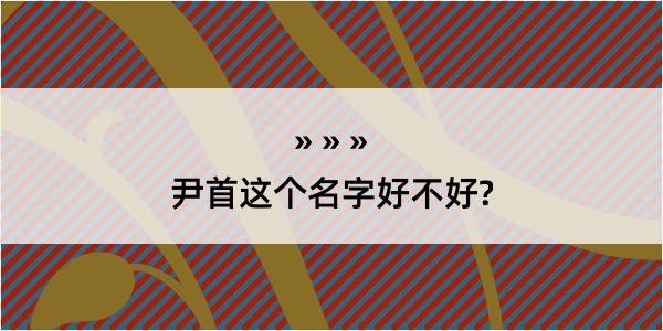 尹首这个名字好不好?