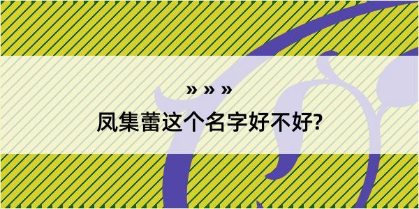 凤集蕾这个名字好不好?