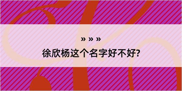 徐欣杨这个名字好不好?