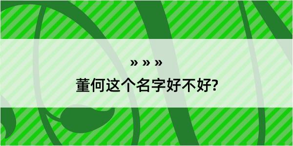 董何这个名字好不好?