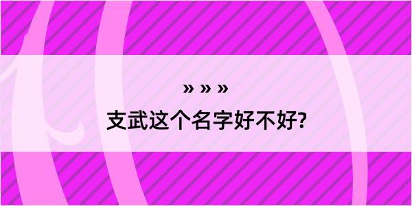 支武这个名字好不好?