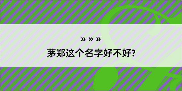 茅郑这个名字好不好?