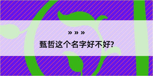 甄哲这个名字好不好?