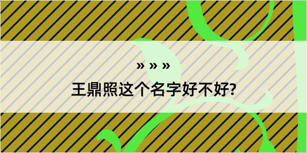 王鼎照这个名字好不好?